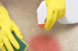 Carpet Cleaners SW11